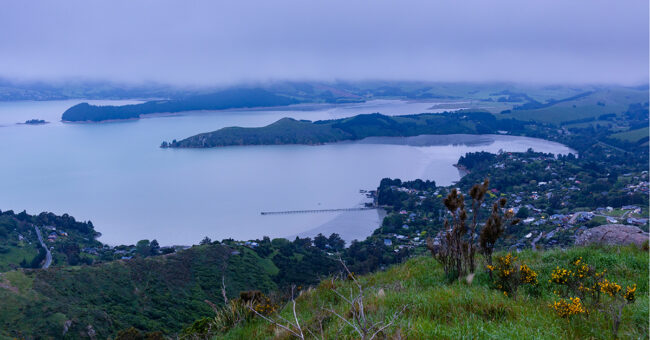 Episode 13 – Surviving the Christchurch Earthquake This November 2021 dusk photo shows low clouds over Te Whakaraupō Lyttelton Harbour, Aotearoa New Zealand. The community of Governors Bay is in the centre. The community jetty, with its earthquake-collapsed section, is visible. This area is part of Horomaka Banks Peninsula in Ōtautahi Christchurch.