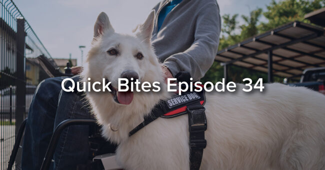 Featured Image – Quick Bites Episode 34 – All About Service Dogs Quick Bites Episode 34 - All About Service Dogs