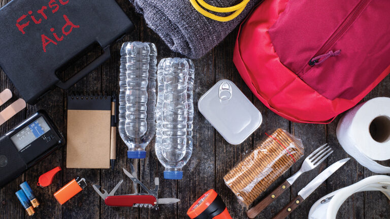 Emergency bag for Hurricane or Wildfire Emergency bag for Hurricane or Wildfire