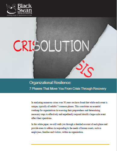 Organizational resiliance